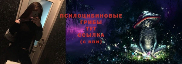 тгк Кукмор