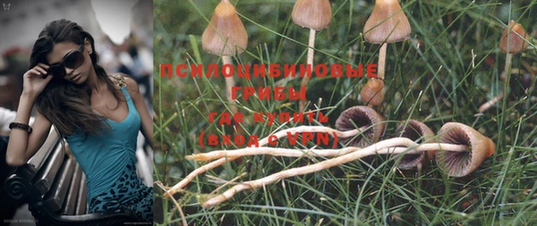 PSILOCYBIN Лагань