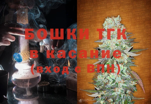 молекула духа Ладушкин