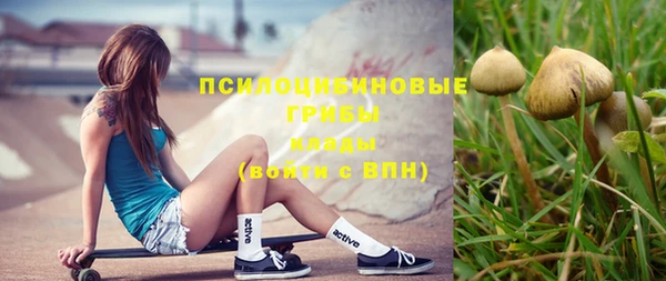 тгк Кукмор