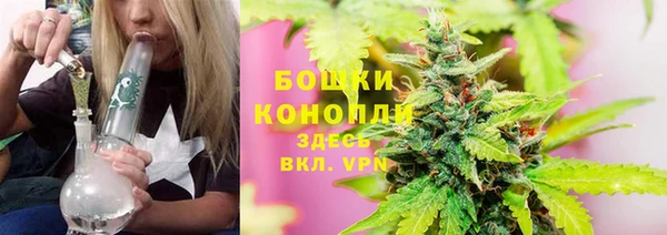 тгк Кукмор